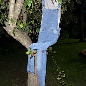 Overalls (bibs) 

Brand -divided 

Size 6 
I think they could fit up to an 8